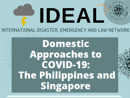IDEAL online seminar - Domestic approaches to COVID-19 IDEAL online seminar - Domestic approaches to COVID-19