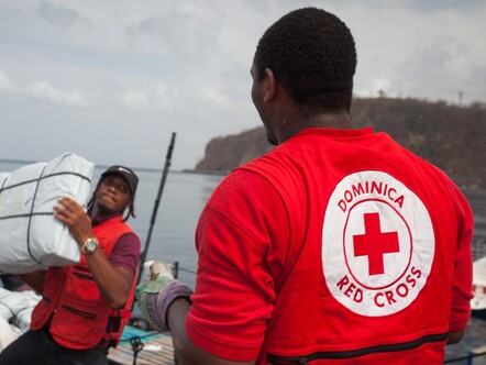 International Disaster Response Law in Dominica Report