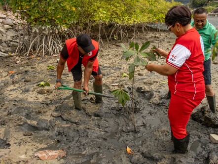 September, 2022 - Seychelles | National Societies working hand in hand for planting mangrove to combat marine erosion after taking part to the Disaster Law workshops. Tree planting activity led by National Societies after the series of DL workshops, Seychelles - September 2022