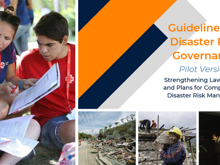 Pilot Disaster Risk Governance Guidelines