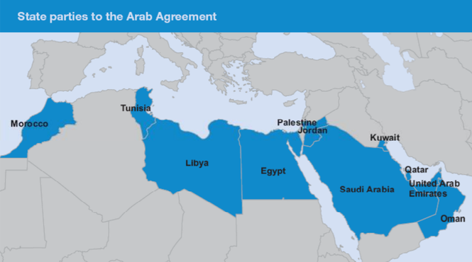 Arab League group considers IDRL Guidelines