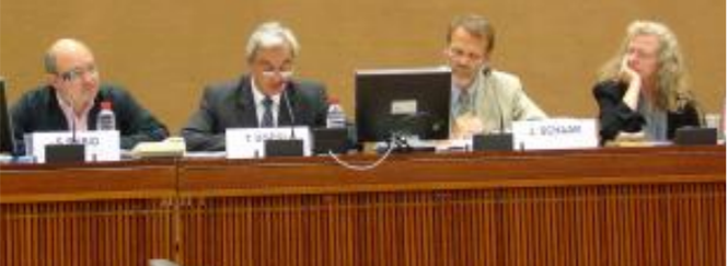 ECOSOC side event on IDRL 