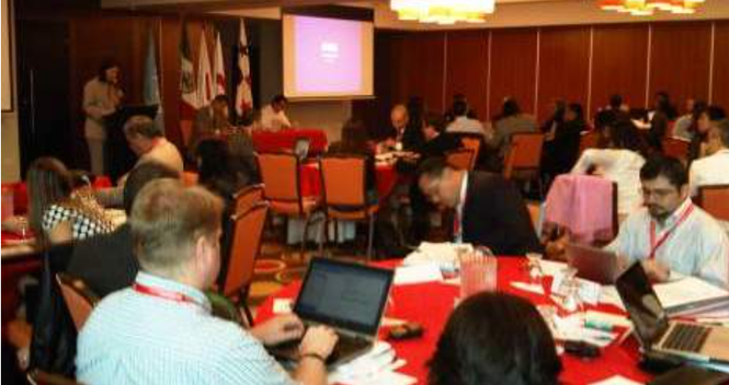 Experts from the Americas provide comments on the Model Act on IDRL