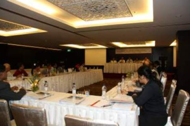 Malé workshop calls for better laws and stronger humanitarian action in South Asia