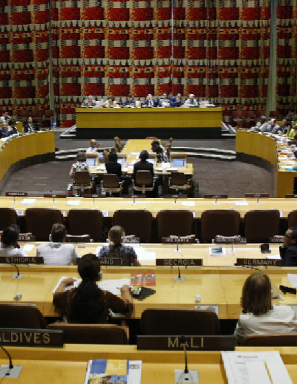 UN ECOSOC resolution encourages states to make use of the IDRL Guidelines
