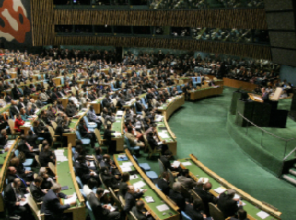 UN General Assembly touts IDRL Guidelines