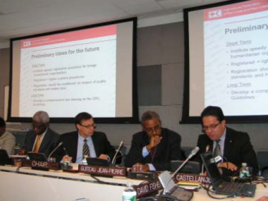 UN panel addresses preliminary findings from IDRL study in Haiti