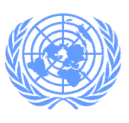 UN Secretary-General reiterates call to implement the IDRL Guidelines