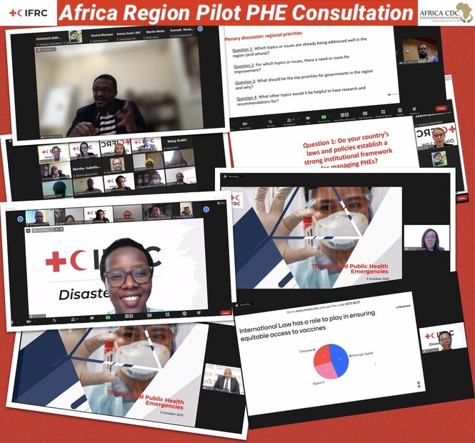 Africa region PHE virtual consultation collage