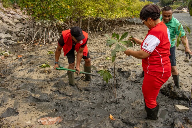 Tree planting activity led by National Societies after the series of DL workshops, Seychelles - September 2022