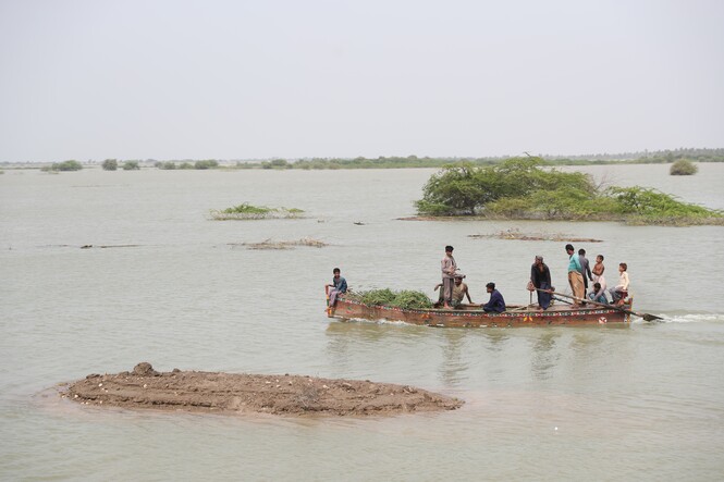 Flooding in Sujawal, Sindh province in Pakistan, 2022
