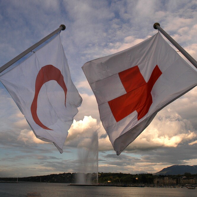 34th International Conference of the Red Cross and Red Crescent