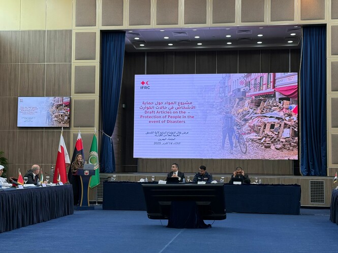 7th Session of the Arab Coordination Mechanism for Disaster Risk Reduction