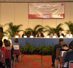 CDEMA member states consider the IDRL Guidelines