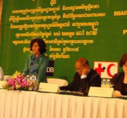 Cambodia IDRL project gets down to brass tacks