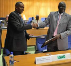 IGAD and IFRC to collaborate on IDRL