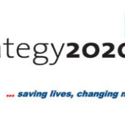 The IFRC’s “Strategy 2020” commits to disaster law advocacy