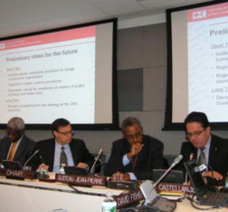 UN panel addresses preliminary findings from IDRL study in Haiti