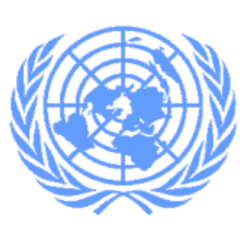 UN Secretary-General reiterates call to implement the IDRL Guidelines