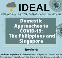 IDEAL online seminar - Domestic approaches to COVID-19
