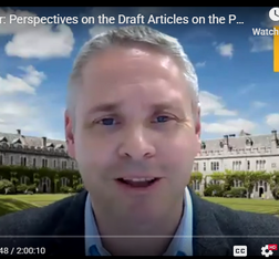 NS PPED webinar screengrab