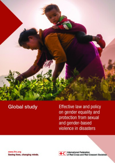 Gender SGBV Report_ Global Report HR.pdf