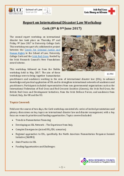 Report of IDL workshop Cork June 2017.pdf