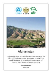 Afghanistan National Capacity Needs Self-Assessment for GEM.pdf