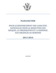 Plan d'Action National en RRC (2013-2016).pdf