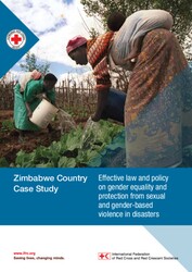Gender-SGBV-Report_-Zimbabwe.pdf