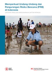 Strengthening Law and DRR in Indonesia IND LR.PDF