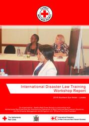International Disaster Law Training Report.pdf