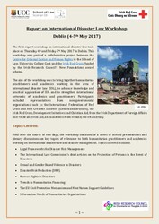 Report of IDL workshop Dublin May 2017 (003).pdf