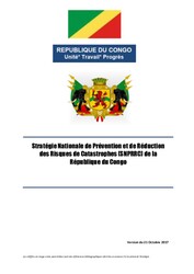 National Strategy for Disaster Risk Reduction and Prevention - French.pdf
