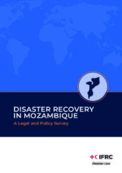 Disaster Recovery in Mozambique - Final.pdf